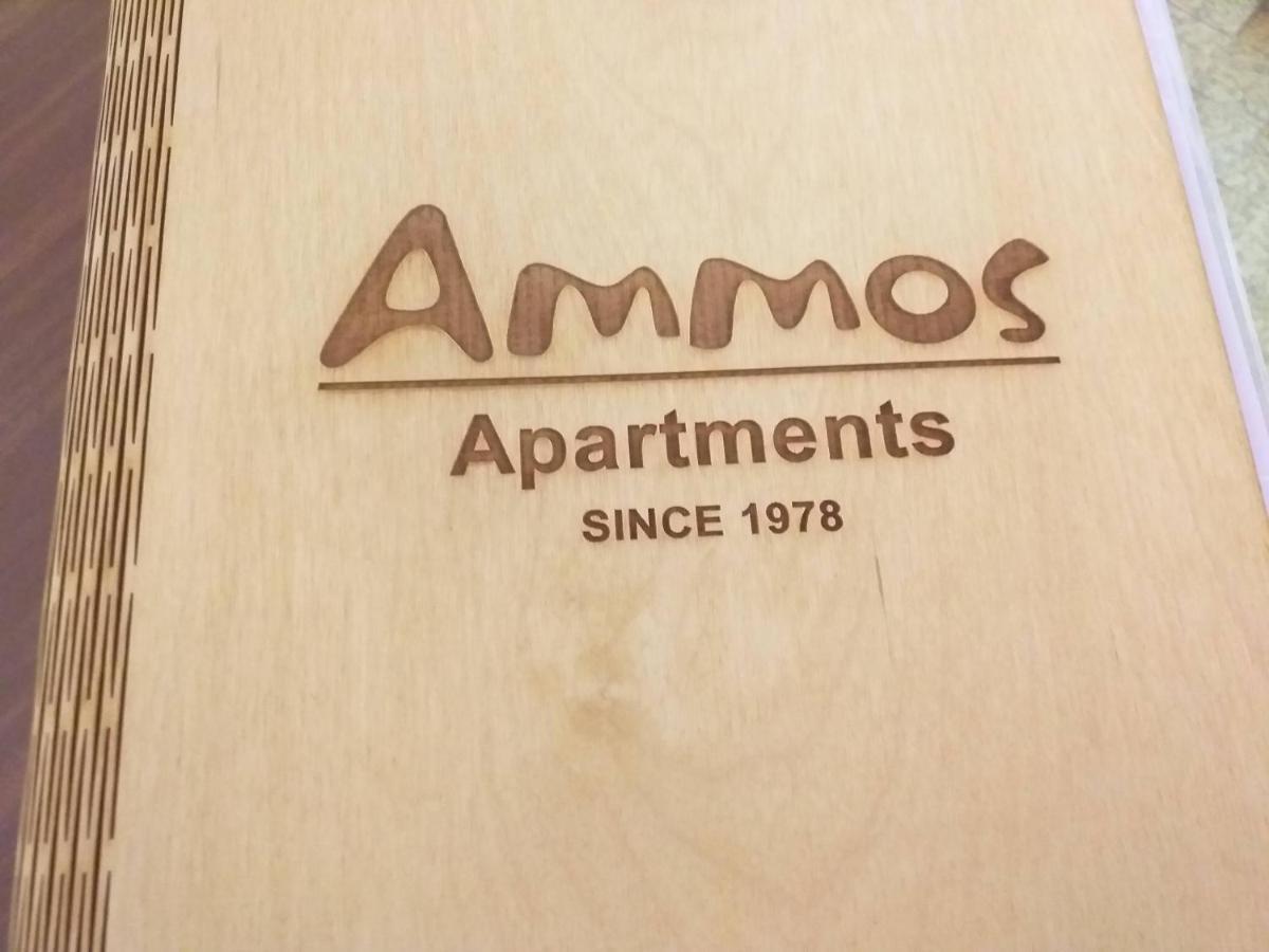 Ammos Apartments آغيوس نيكولاوس المظهر الخارجي الصورة