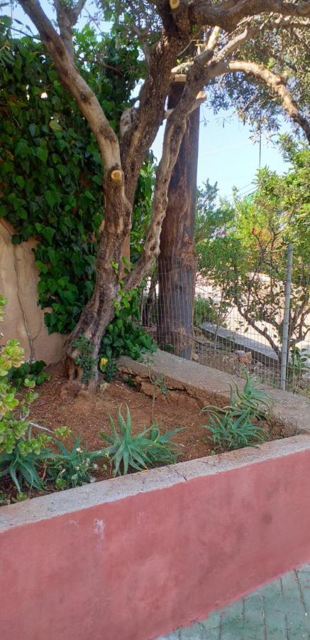Ammos Apartments آغيوس نيكولاوس المظهر الخارجي الصورة